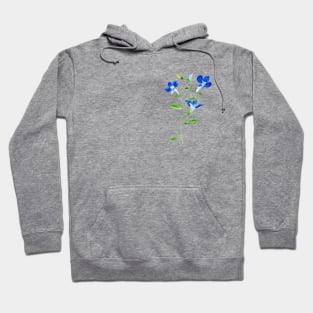 Blue eyed Mary flowers Hoodie